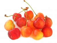 ������������ ������� ��� ��������  