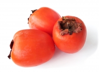 ������������ ����� ������� 