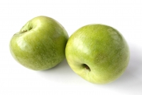 ������������ �������� ������ ��������� 