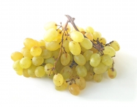 ������������ ��������� ������ 