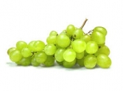 ������������ �������� ��������� 