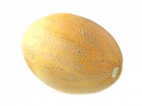 ������������ ���� 