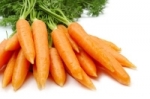 Калорийность свежей  моркови 