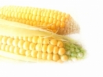 Калорийность вареной кукурузы в початках